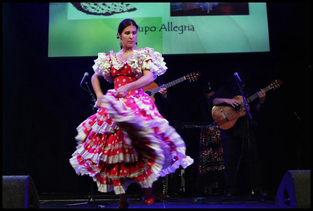 Flamenco muziek en workshop